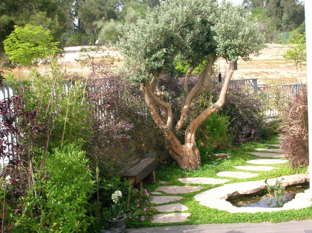 תכנון גינה פרטית