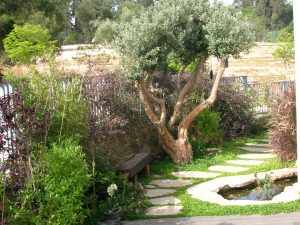Read more about the article עיצוב גינה – מרעיון למעשה