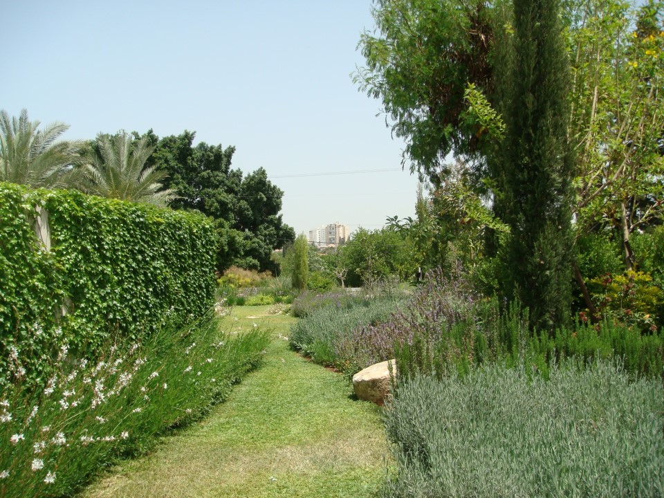 איך להפוך גינה זעירה לאי פראי של רוגע וצבע